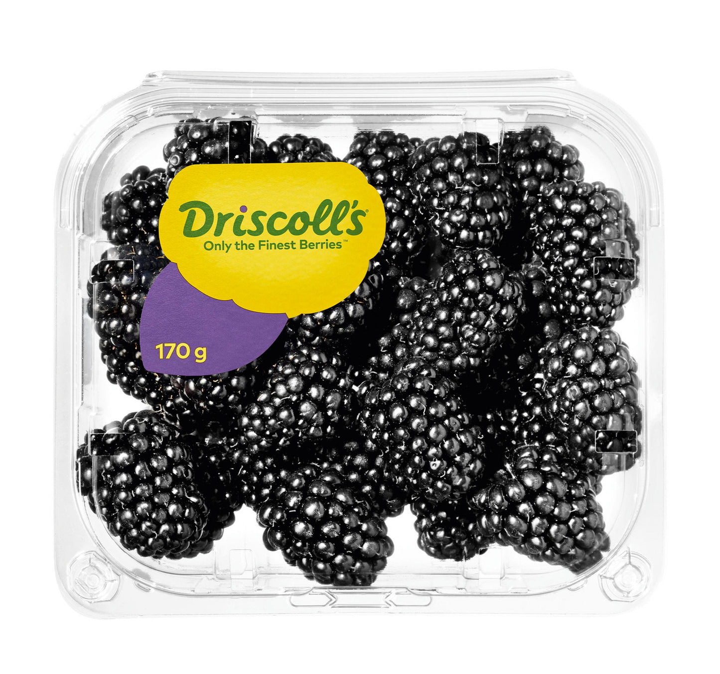Blackberry 170 g Lulu Hypermarket