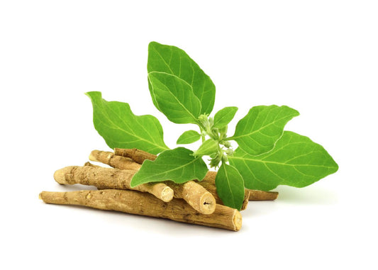 Ashwagandha Shefs