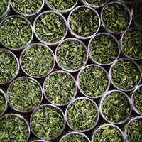 Dried parsley Leafs Shefs