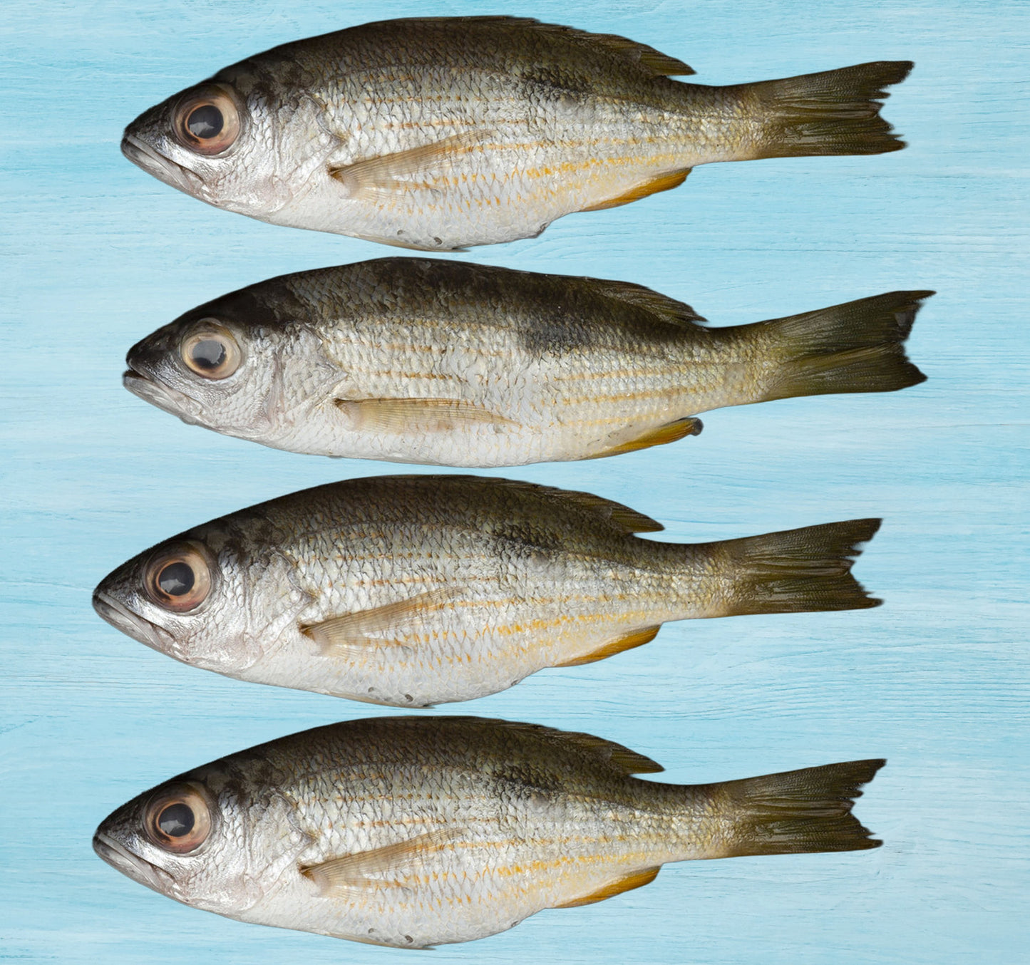 Fresh Naizer Fish Whole Cleaned 500 g
