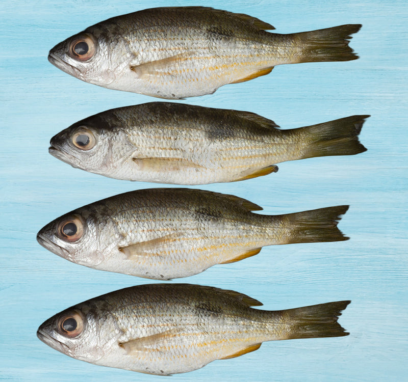 Fresh Naizer Fish Whole Cleaned 500 g