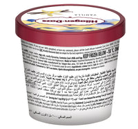 Haagen-Dazs Vanilla & Cream Ice Cream 100 ml