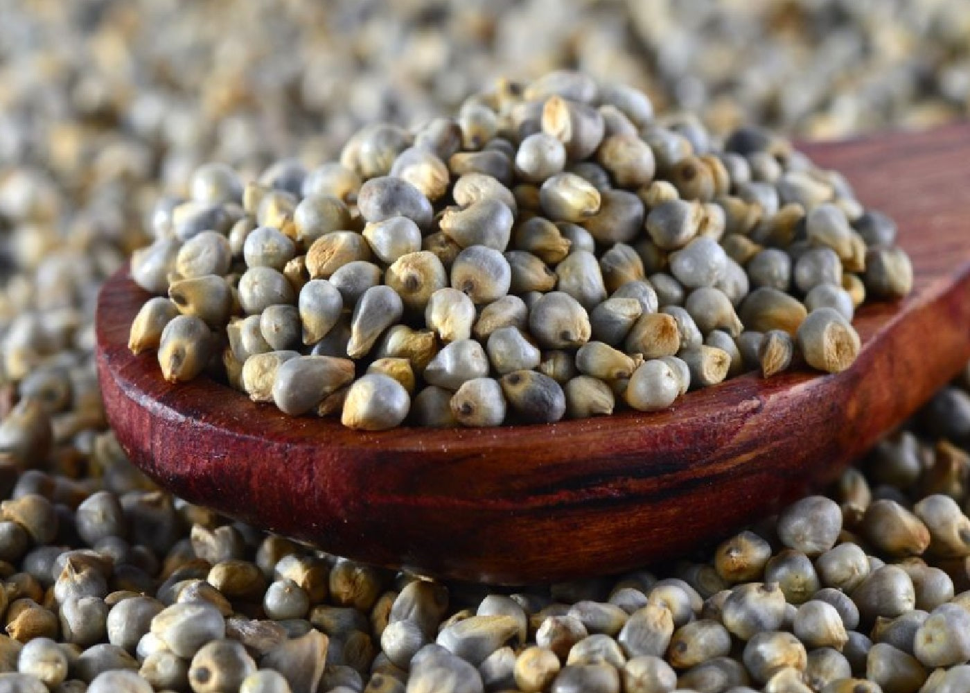 Bajra Khichda Flour Shefs