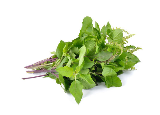 Basil Leaves Shefs