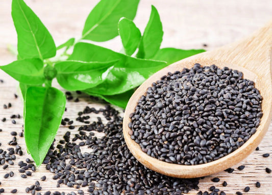 Basil Seeds Shefs