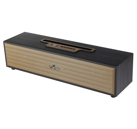 Trands Portable Karaoke Wireless Speaker TR-SP2010