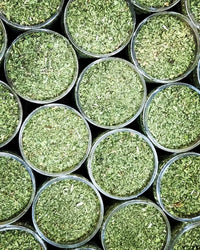 Dried Mint Shefs