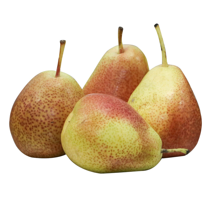 Pears Forelle South Africa 500 g Sultan Center