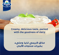 Puck Cream Cheese Spread 910 g