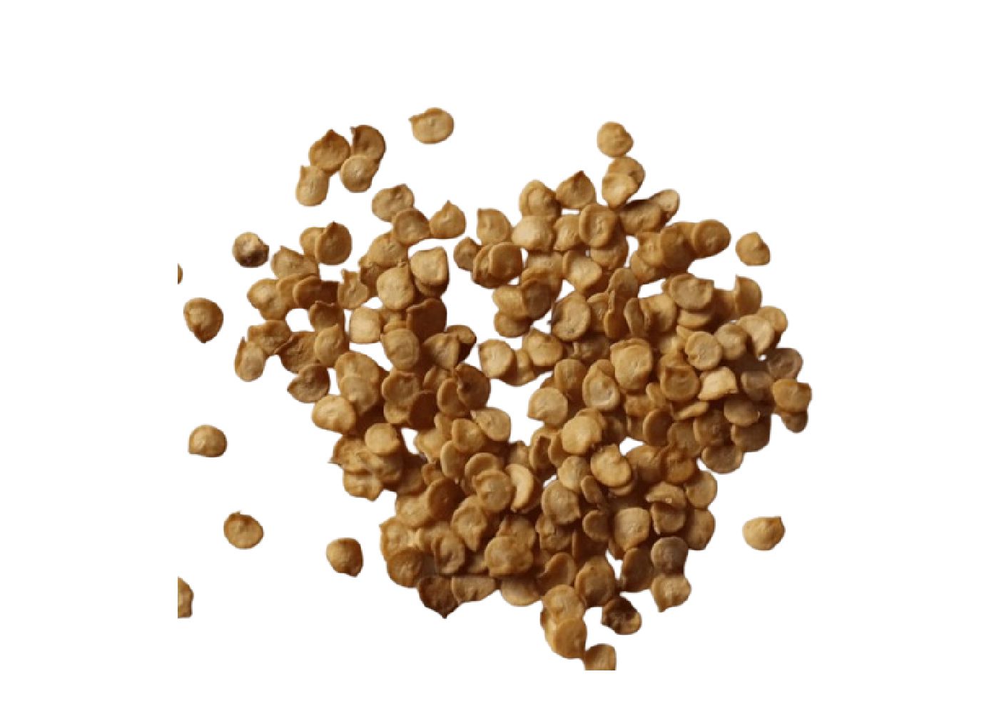 Chilli Seeds Shefs