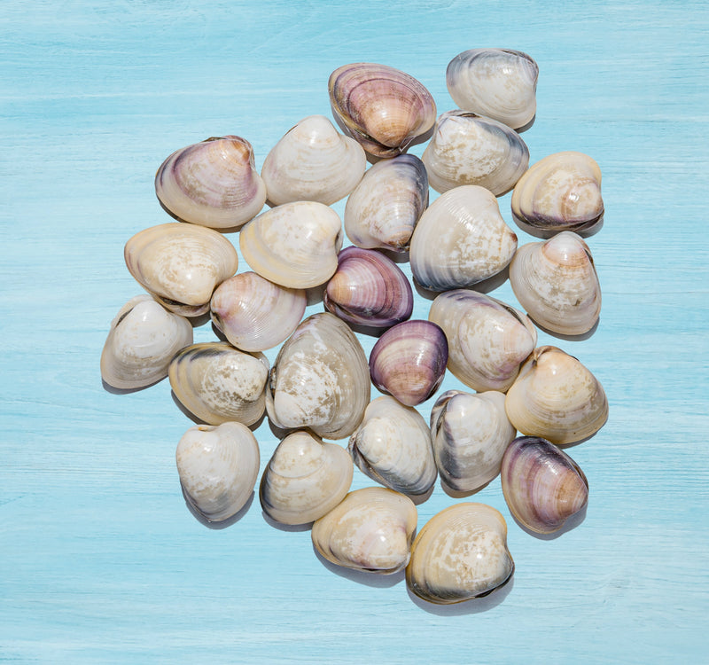 Clams Big With Shell 500 g