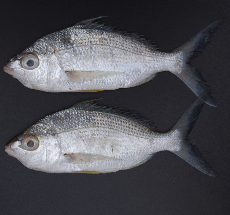 Badha Fish Whole Cleaned 500 g