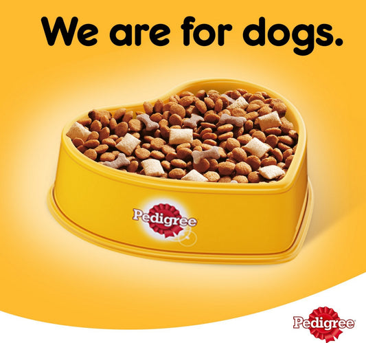 Pedigree Chicken & Vegetables Dry Dog Food (Adult) 3 kg