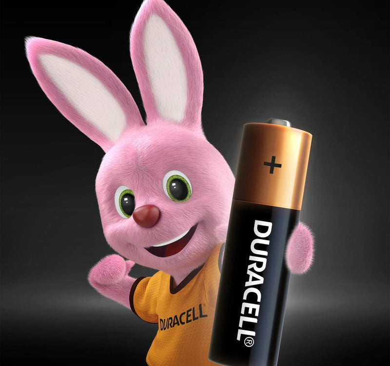 Duracell Type AA Alkaline Batteries, pack of 4