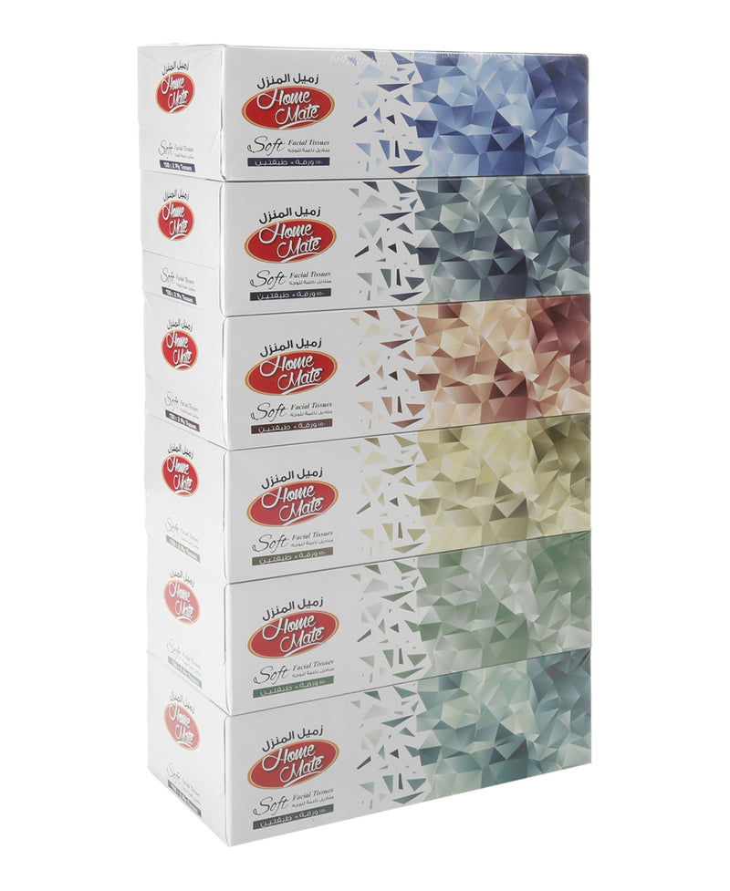 Home Mate Soft Facial Tissue Box 2ply Value Pack 6 x 150 Sheets
