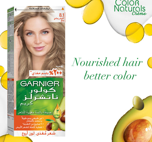 Garnier Color Naturals 8.1 Light Ash Blonde 1 pkt