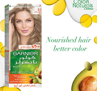 Garnier Color Naturals 8.1 Light Ash Blonde 1 pkt