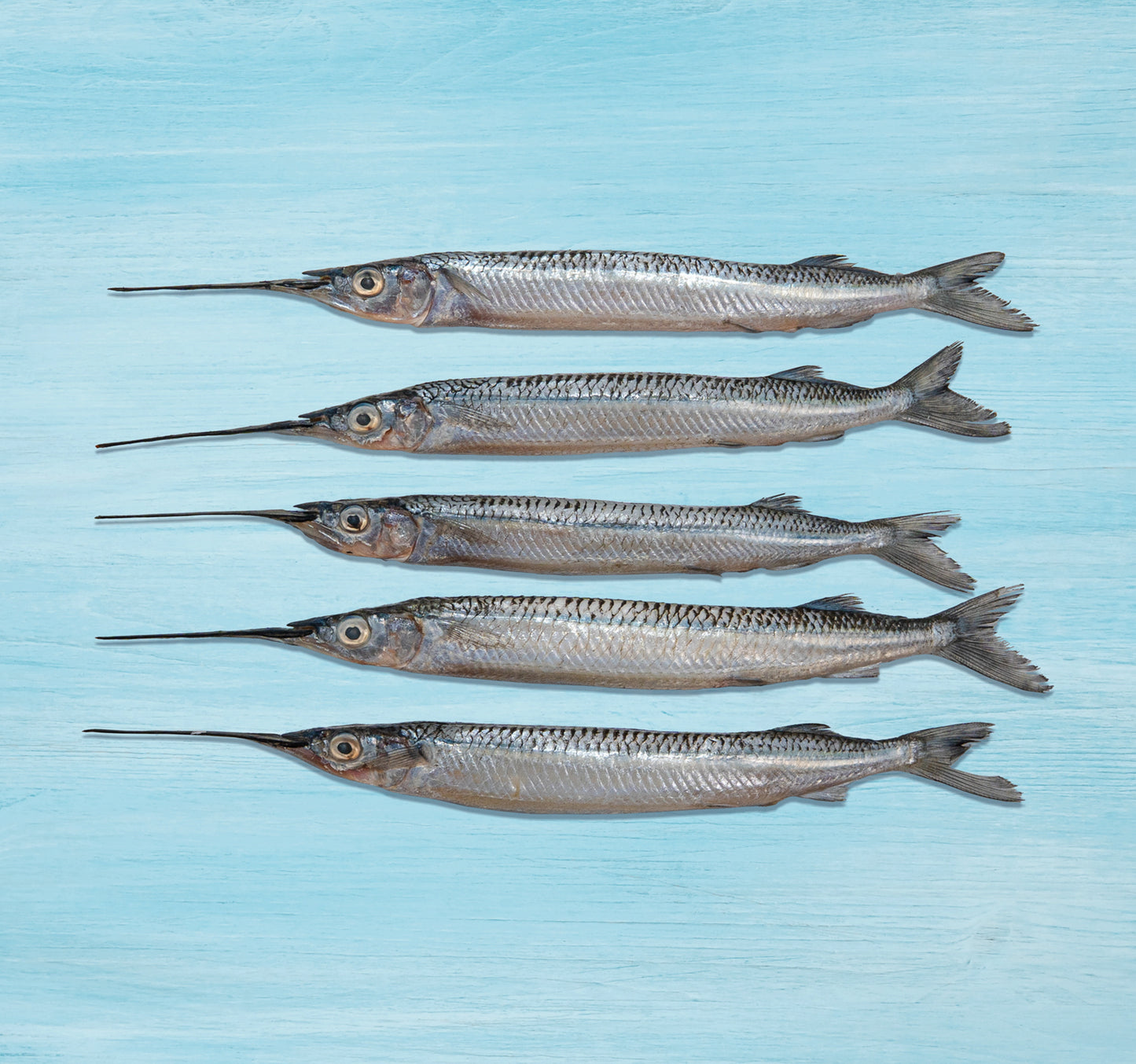 Fresh Needle Fish Whole Cleaned 500 g