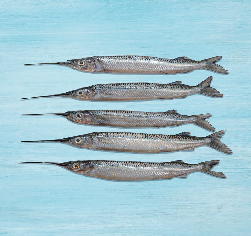 Fresh Needle Fish Whole Cleaned 500 g