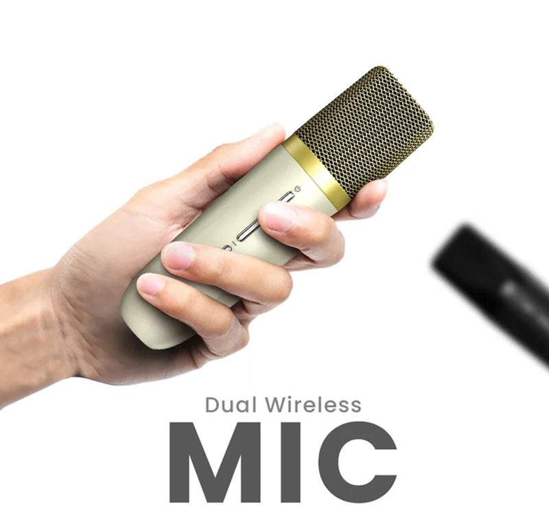 HiFuture Vocalist 100 Wireless Portable Speaker, 25W, Silver