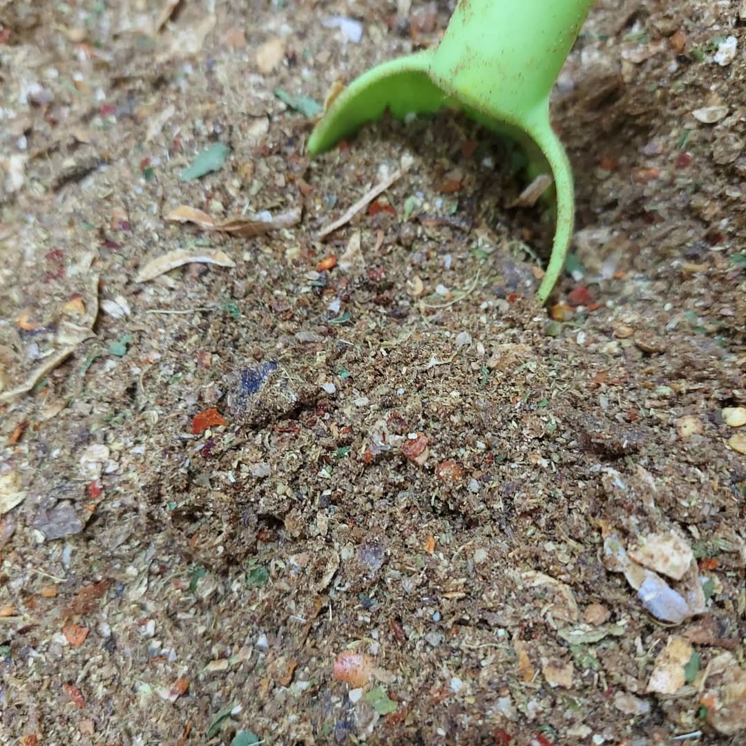 Ground Spices Shefs
