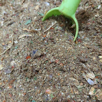 Ground Spices Shefs