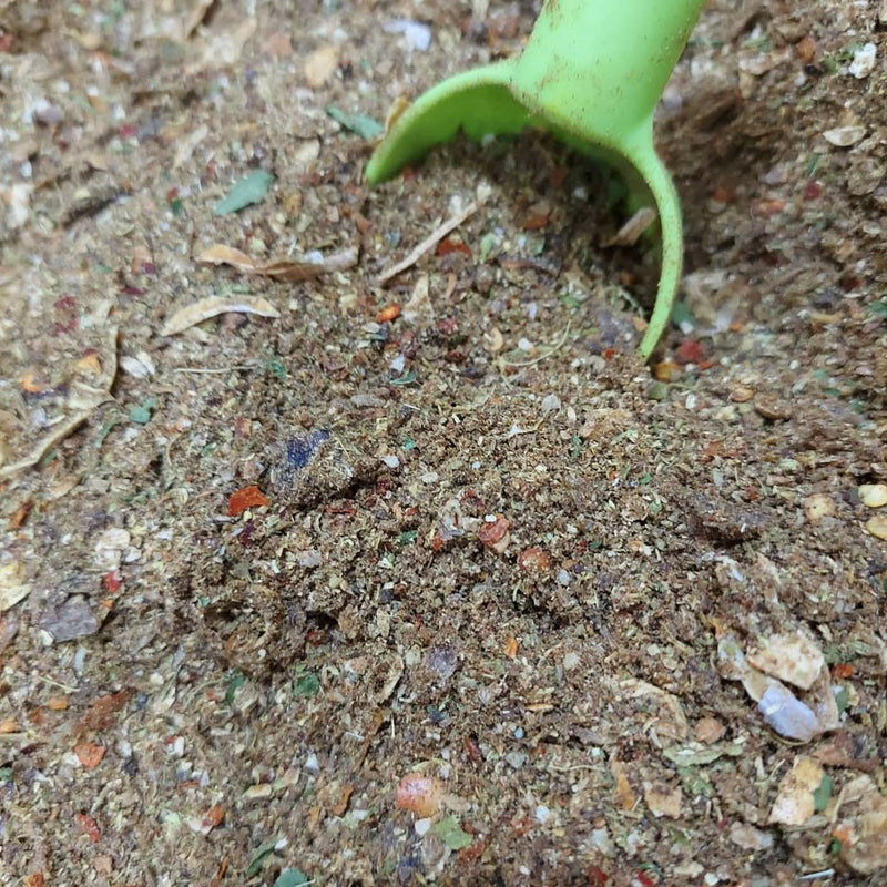 Ground Spices Shefs