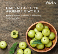 Dabur Amla Hair Oil 500 ml