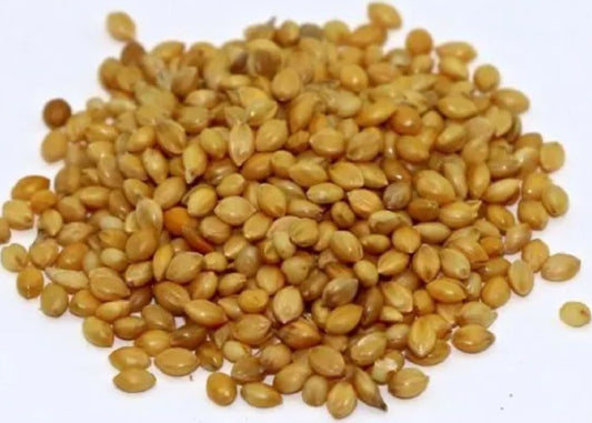 Foxtail Millet Shefs