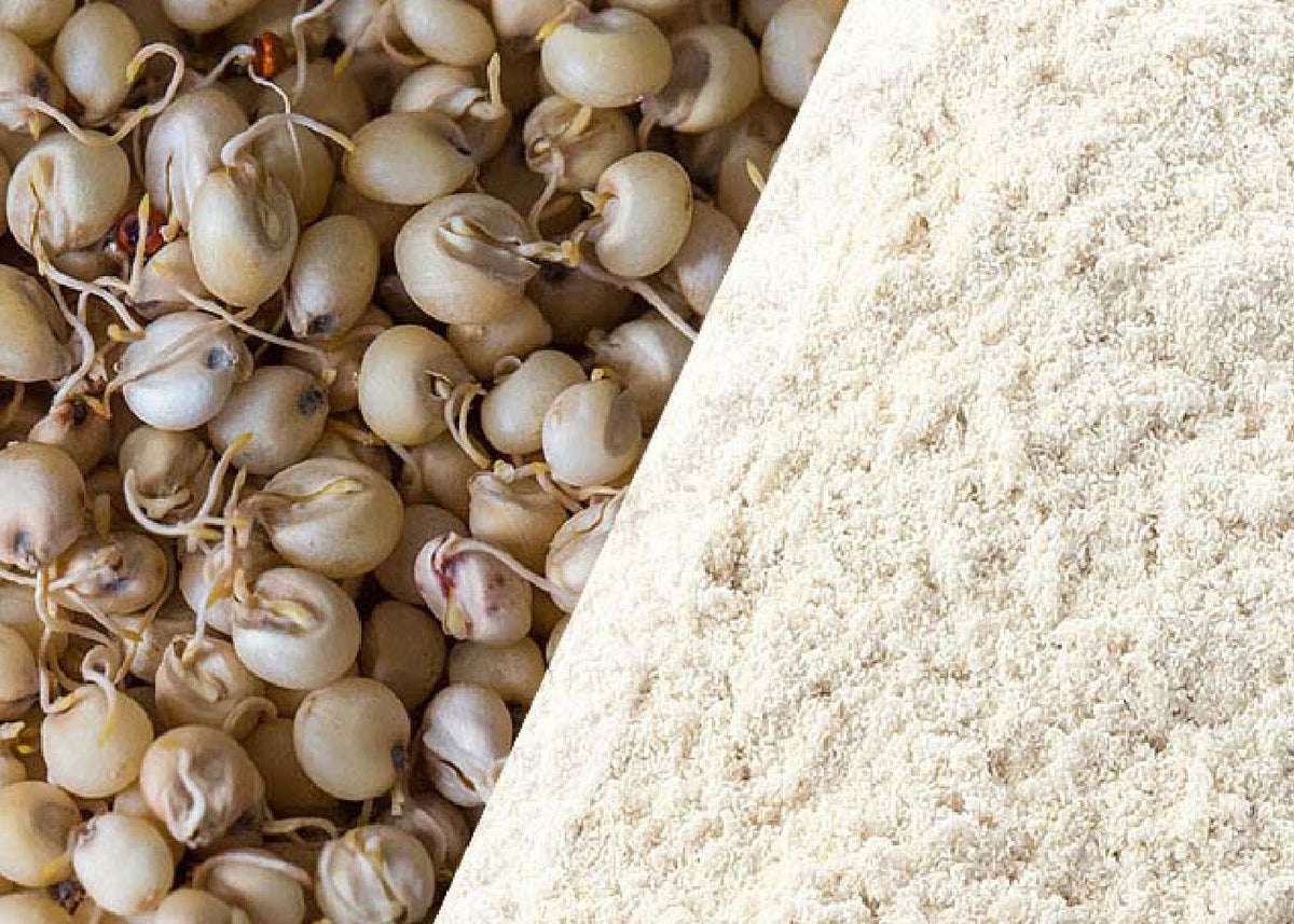 Jowar Flour Shefs
