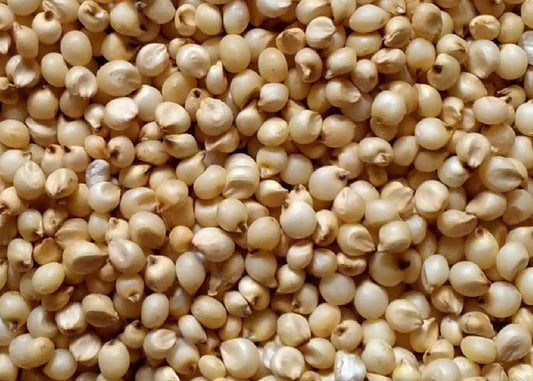 Jowar Shefs