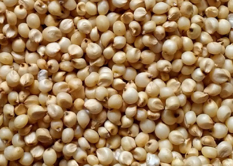 Jowar Shefs