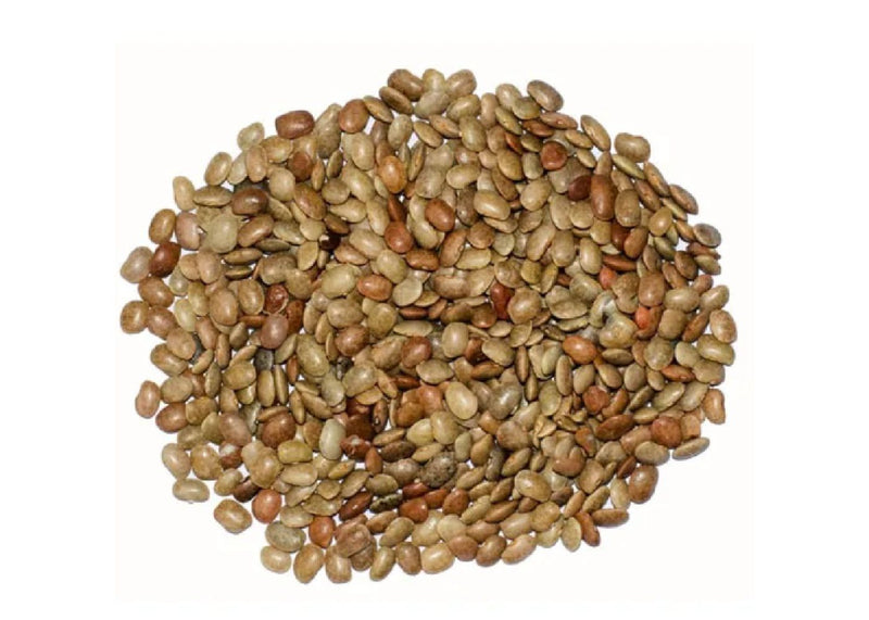Kulthi Horse Gram Shefs