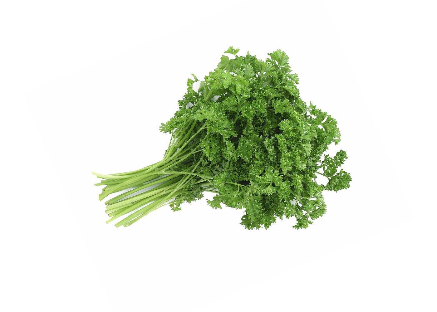 Parsley Shefs