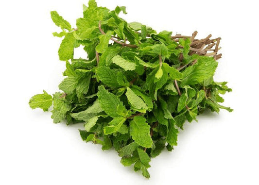 Pudina Mint Leaves Shefs