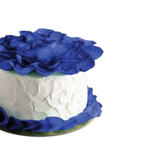 Romeo Lily's Cupcake