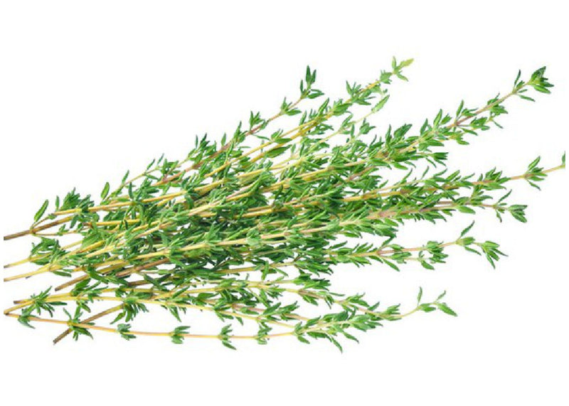 Thyme Shefs