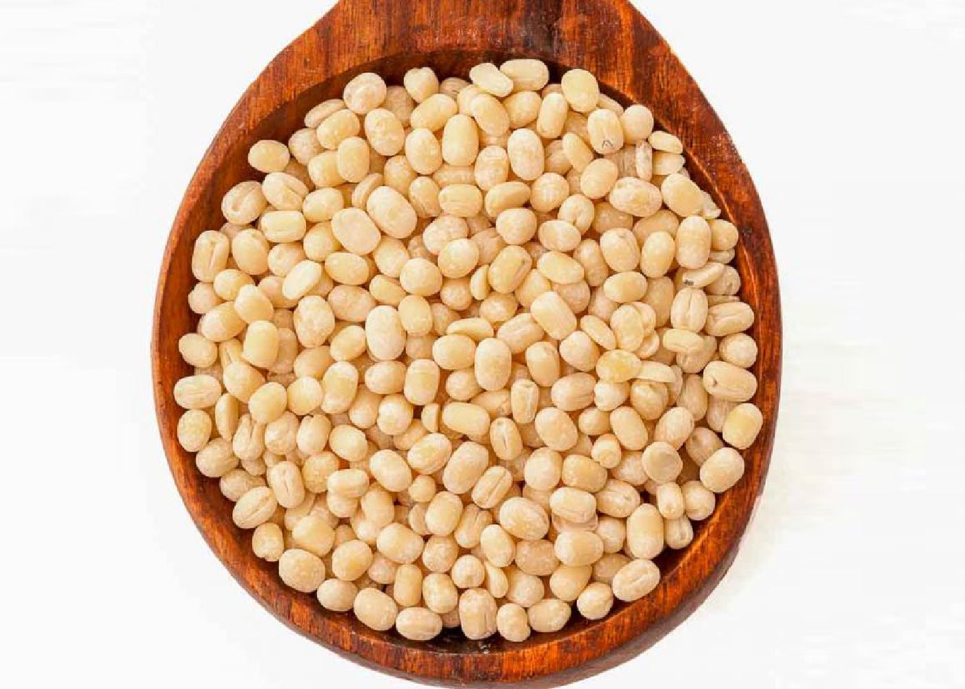 Urad Gota Shefs