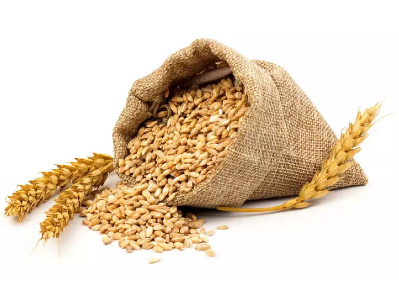 Wheat Shefs