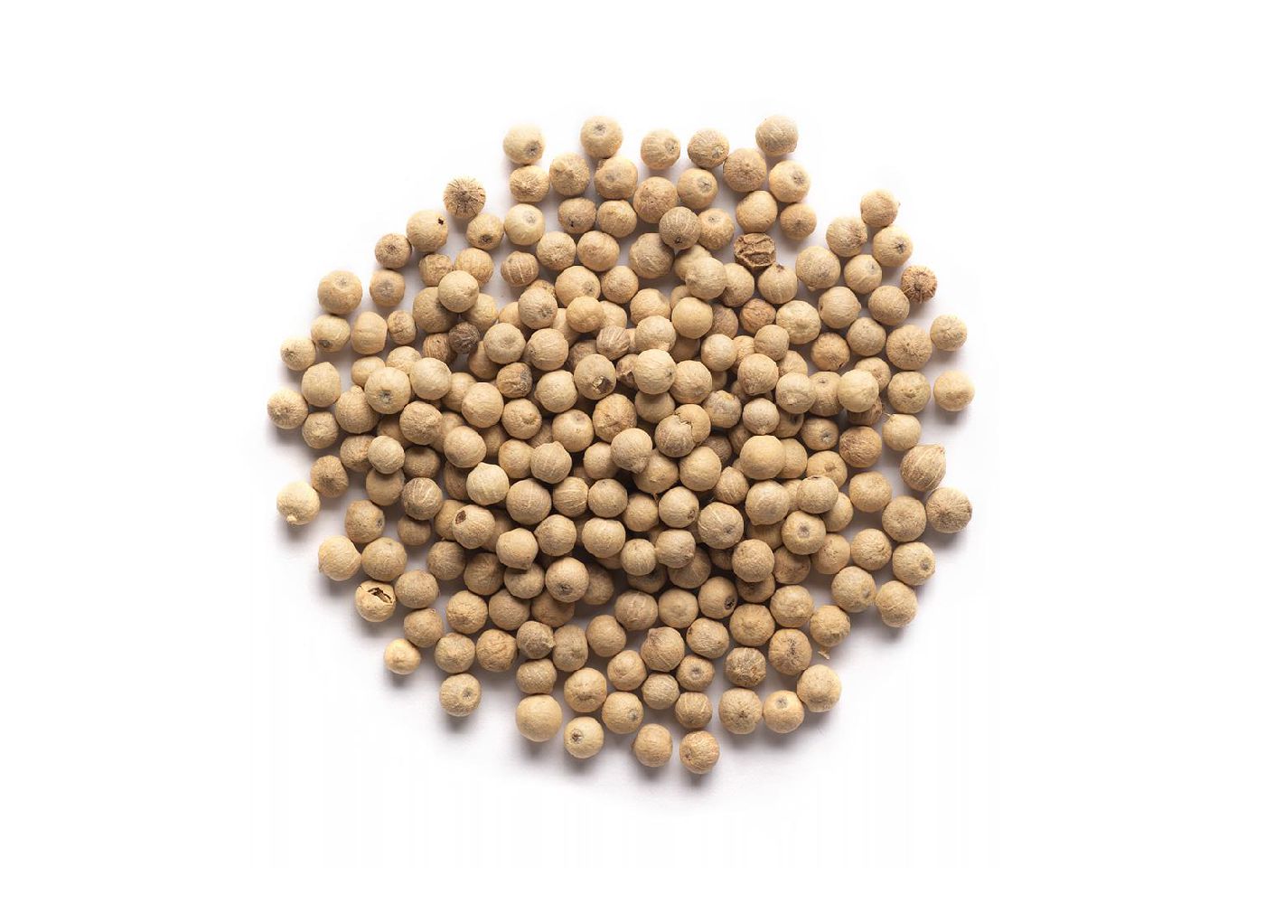 White Pepper Shefs